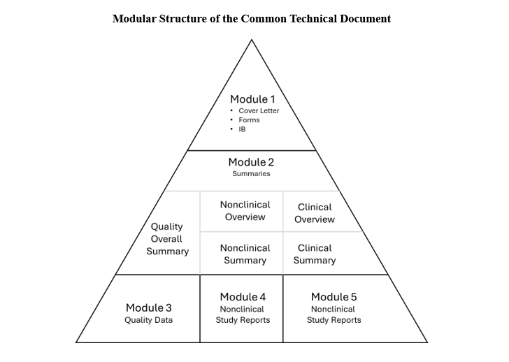 Modular Structure of the Common Technical Document pyramid graphic